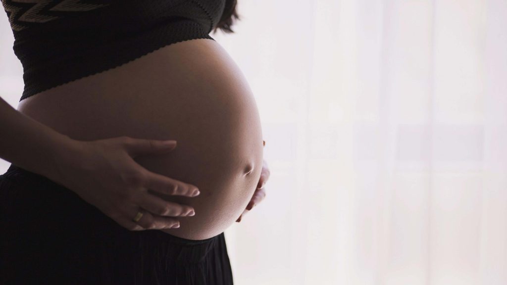 Mulheres gestantes que participaram da primeira fase da pesquisa receberam orientações sobre o risco da exposição a ftalatos durante a gravidez. Foto: Free Photos/Pixabay