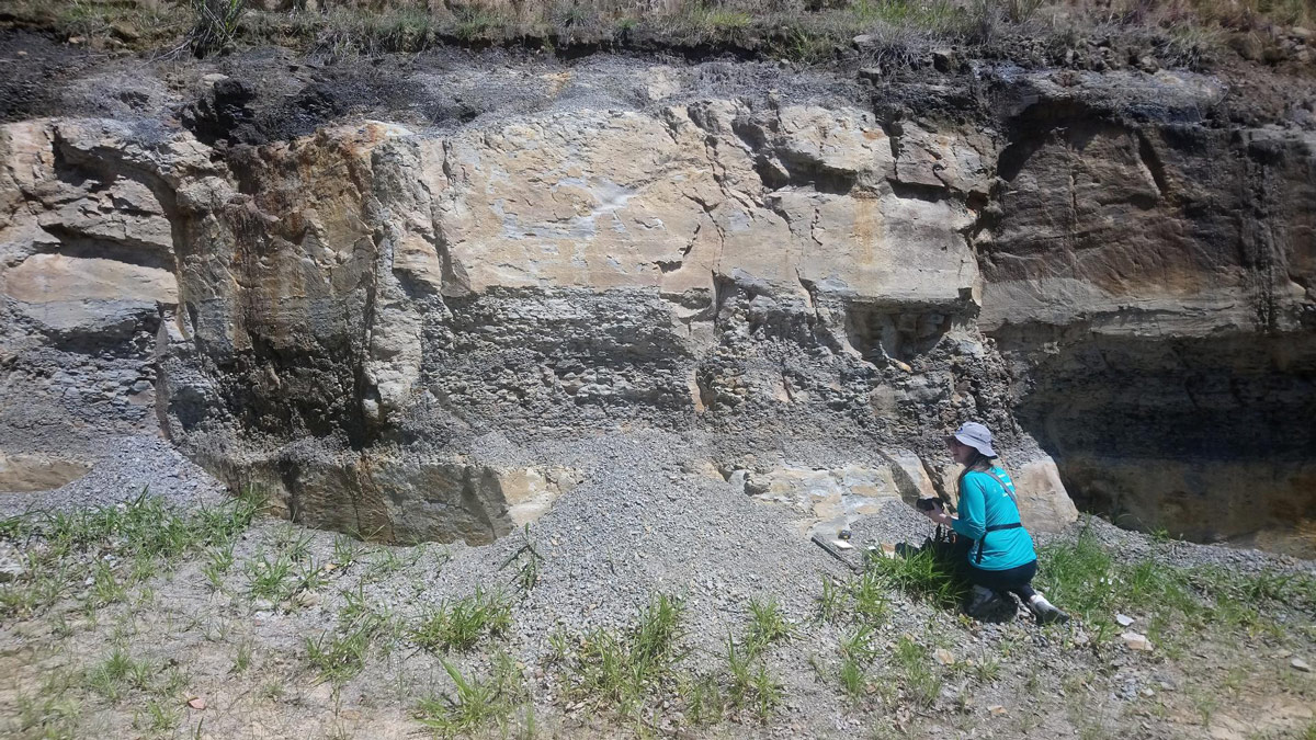 Pesquisadores registraram a estratificação da Formação do Rio Bonito que aponta a idade dos fósseis.