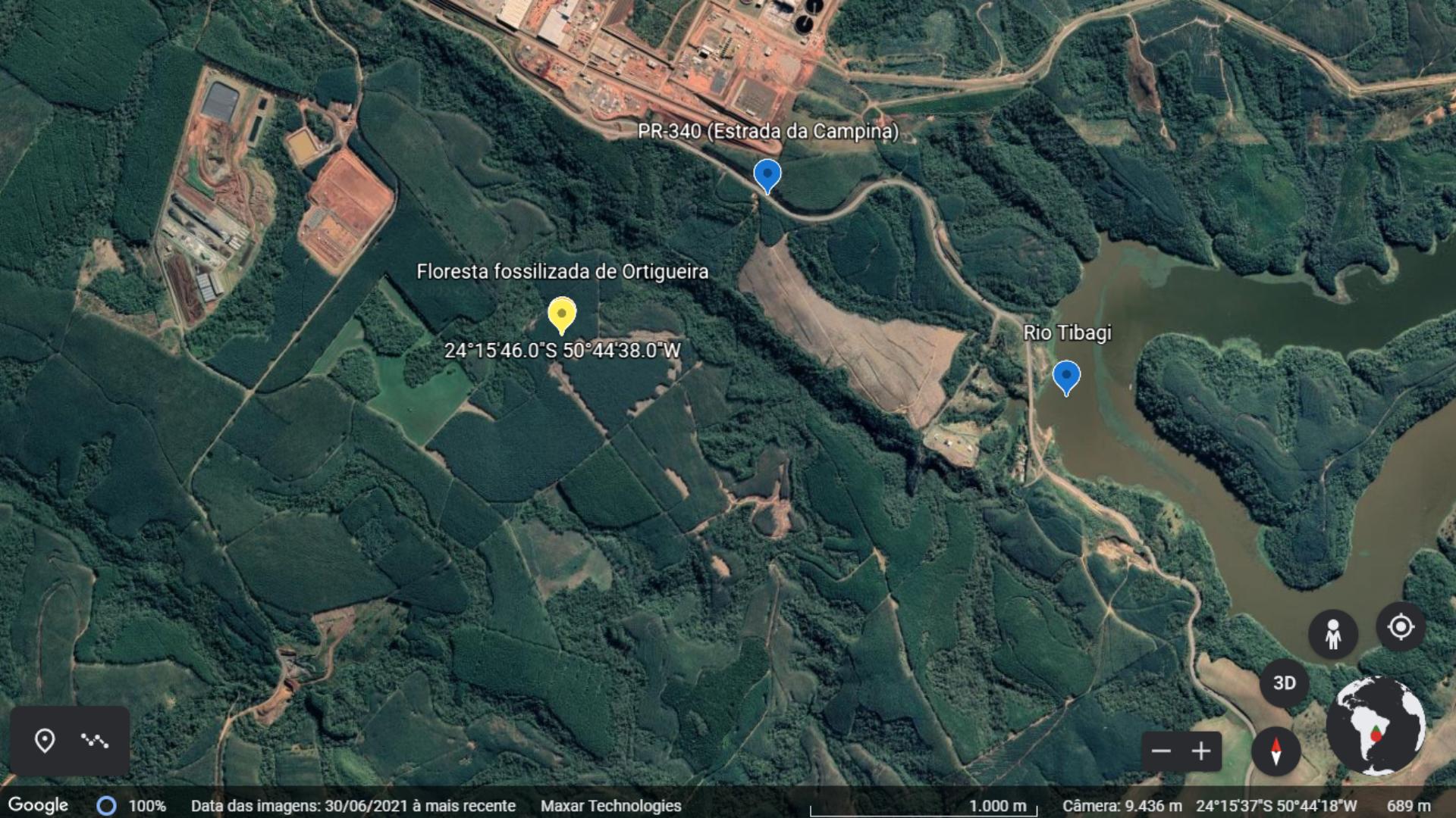 Segundo o estudo, a floresta de licófitas abrange uma área nas proximidades do rio Tibagi e da rodovia PR-340. Foto: Google Earth/Reprodução