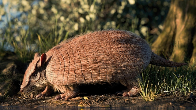 Conheça o tatu que viveu no Paraná há 40 milhões de anos Descrição do mamífero, registrado por um fóssil do Museu de Ciências Naturais da UFPR, ajuda a compreender o passado da região de Curitiba