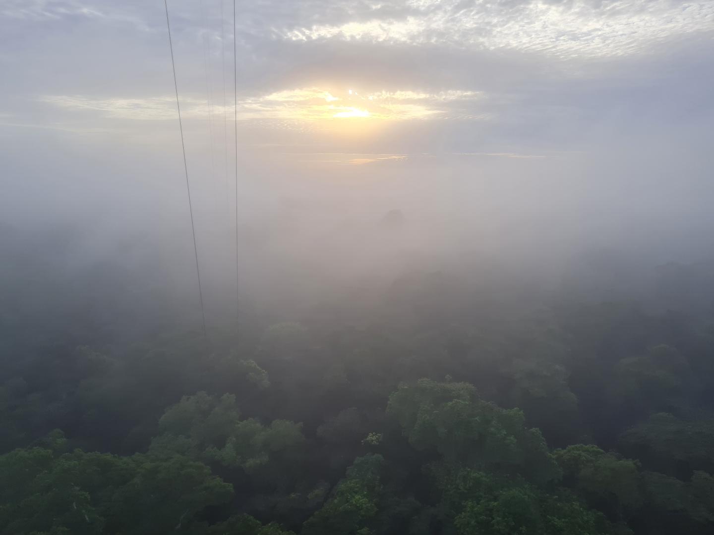 Em dias de nevoeiro denso, pesquisadores conseguiram colher 125 mililitros de água