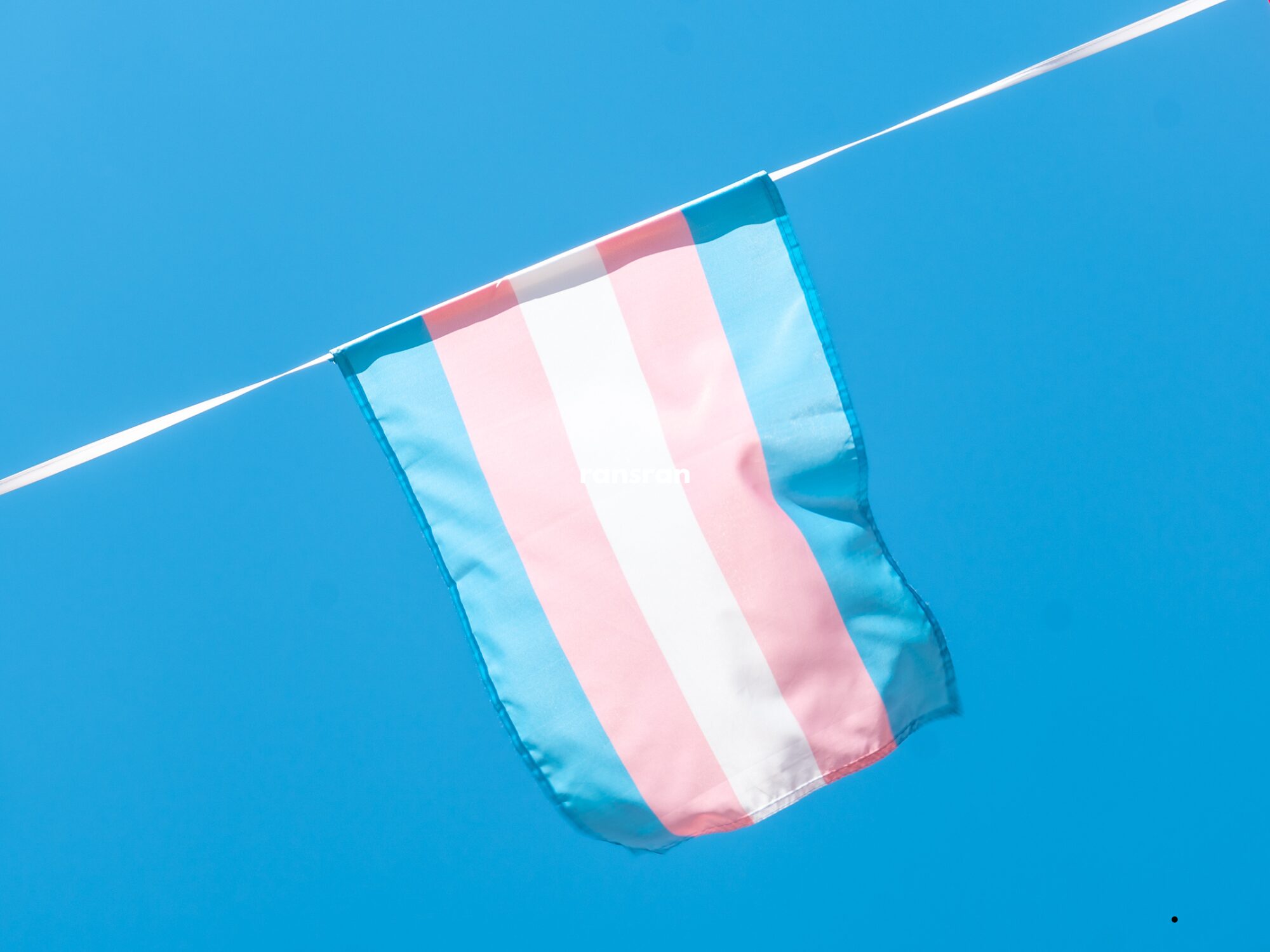 Pesquisa investiga sofrimento psíquico entre adolescentes trans Estudo conduzido por pós-graduandas do PPG em Psicologia da UFPR ouviu responsáveis por jovens não cisgênero e constatou a presença de automutilação em 50% dos casos